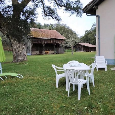 Le Petit Frouas Sud Apartment Vielle-Saint-Girons Exterior photo