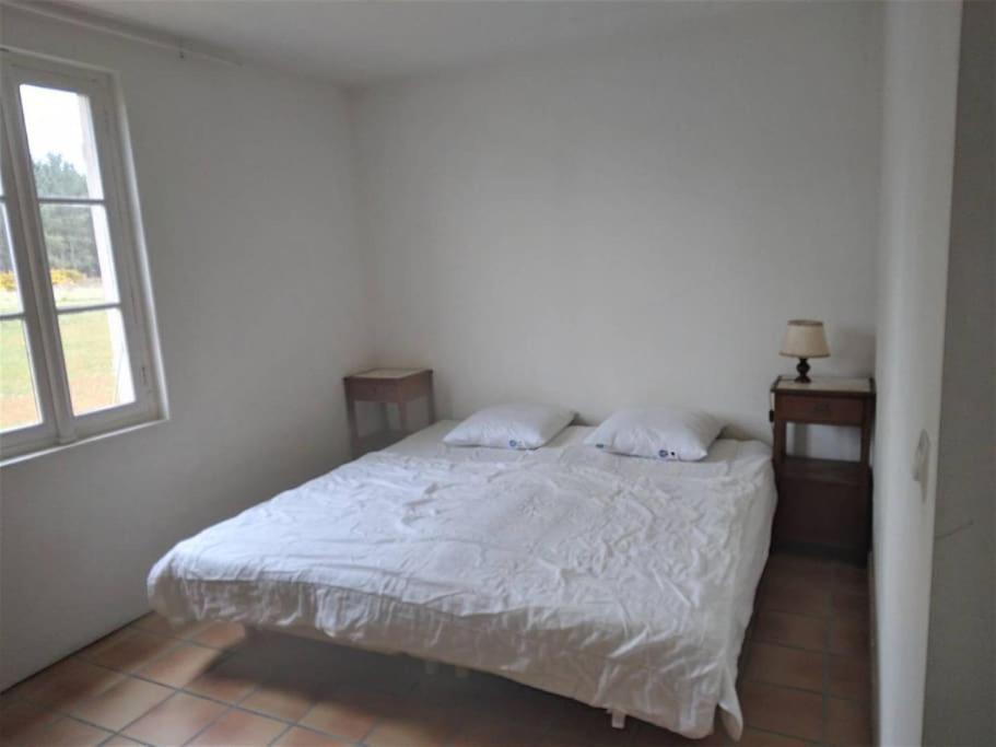 Le Petit Frouas Sud Apartment Vielle-Saint-Girons Exterior photo